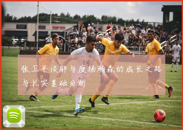 张卫平谈胖与瘦杨瀚森的成长之路与扎实基础分析